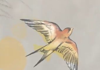 Нумо, сестри! Соціальне відео